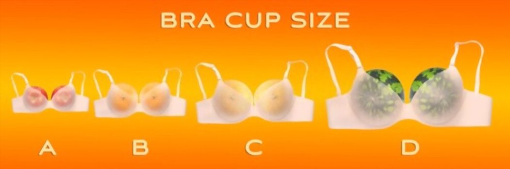 All About Of Bra Size Charts - The Shoe Box NYC